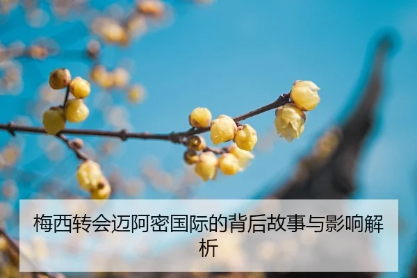 mei-xi-zhuan-hui-mai-a-mi-guo-ji-de-bei-hou-gu-shi-yu-ying-xiang-jie-xi-2-391.jpg